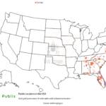 The Ultimate Guide to Publix Store Location USA in 2021